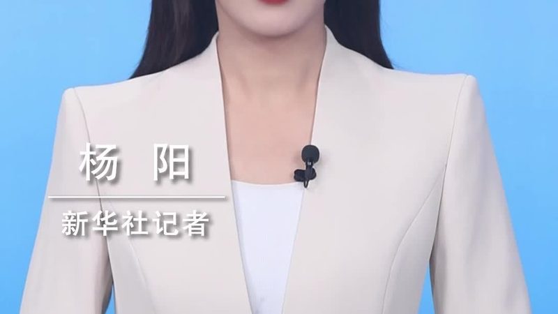 成都ERP库存管理系统：揭秘其核心功能与优势